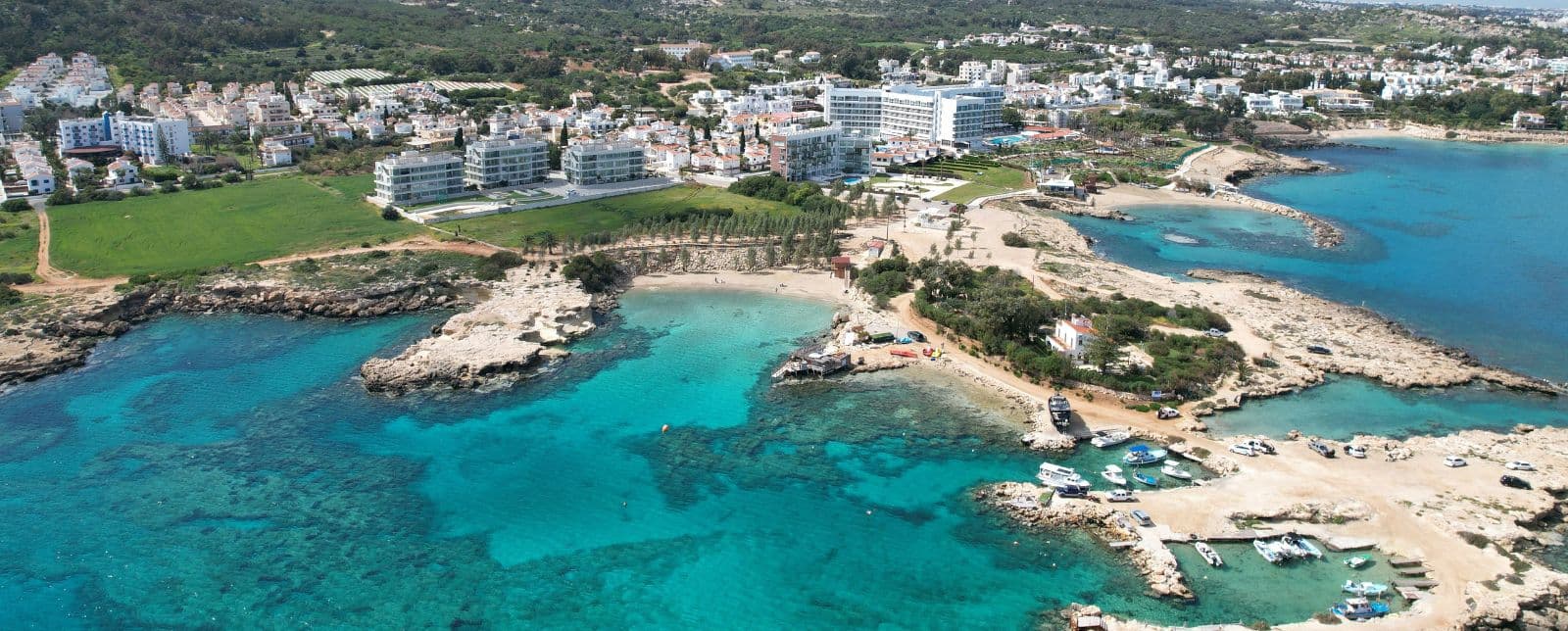 FIV en Chypre