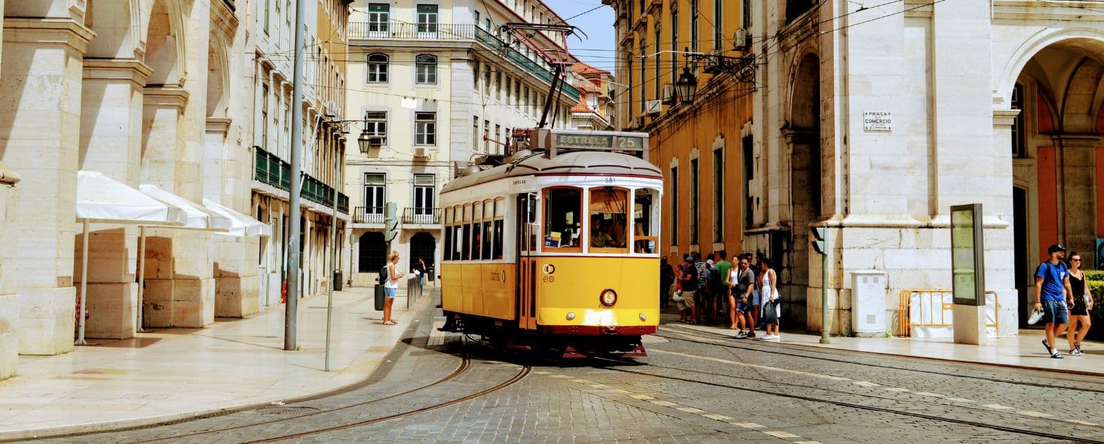 FIV en Portugal